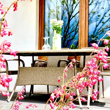 Fajne אכסניה *